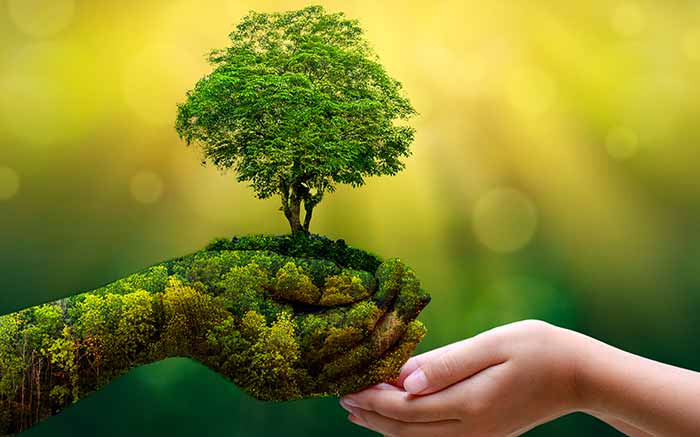 Nous avons une approche écologique partout dans la maison
