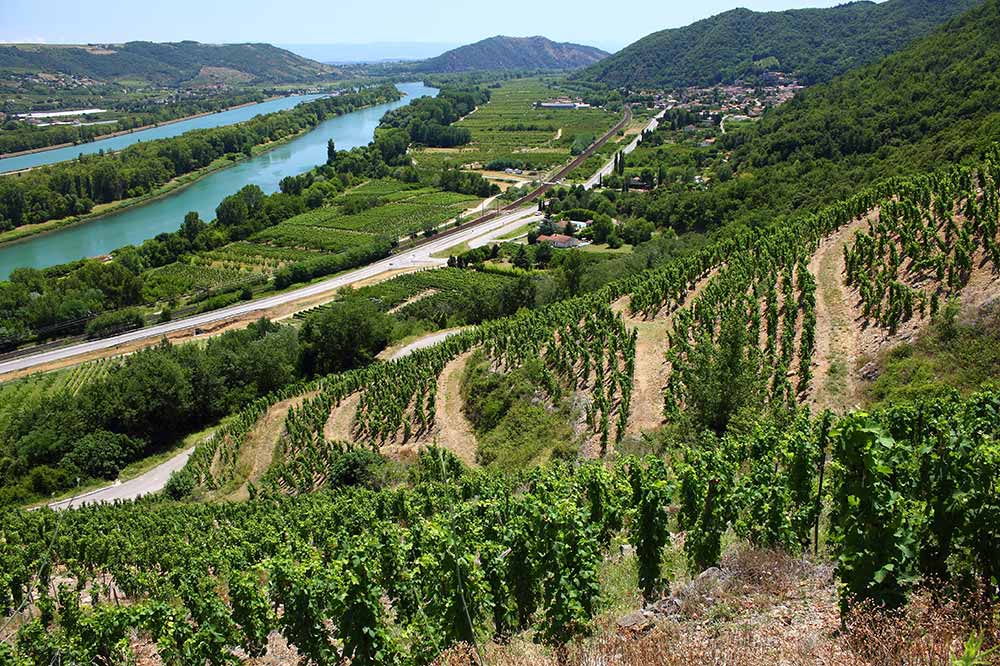 Les vignobles de l'Hermitage
